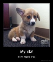 ¡Ayuda! - me he roto la oreja