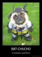 BAT-CHUCHO - el verdadero superhéroe