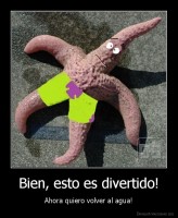 Bien, esto es divertido! - Ahora quiero volver al agua!