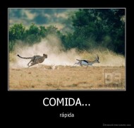 COMIDA... - rápida