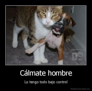 Cálmate hombre - Lo tengo todo bajo control