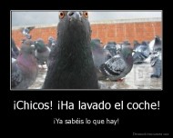 ¡Chicos! ¡Ha lavado el coche! - ¡Ya sabéis lo que hay!