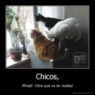 Chicos, - ¡Mirad! ¡Otra que va en mallas!
