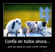 Confía en todos ahora... - para que sepas en quién confiar mañana