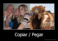 Copiar / Pegar - 
