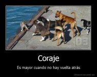 Coraje - Es mayor cuando no hay vuelta atrás