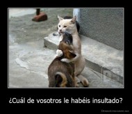 ¿Cuál de vosotros le habéis insultado? - 