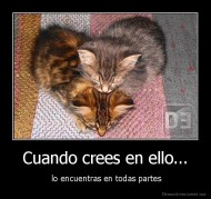 Cuando crees en ello... -  lo encuentras en todas partes