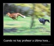 Cuando no hay profesor a última hora... - 