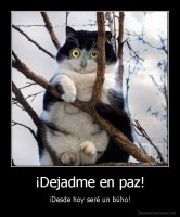 ¡Dejadme en paz! - ¡Desde hoy seré un búho!
