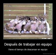 Después de trabajar en equipo - Viene el tiempo de descansar en equipo