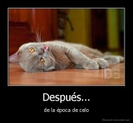 Después... - de la época de celo