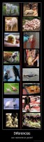 Diferencias - ¿son realmente tan grande?