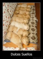 Dulces Sueños - 