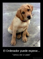 El Ordenador puede esperar... - "vamos a dar un paseo"