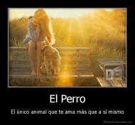 El Perro - El único animal que te ama más que a sí mismo