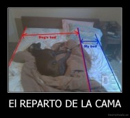 El REPARTO DE LA CAMA - 