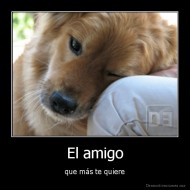 El amigo - que más te quiere