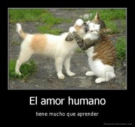 El amor humano - tiene mucho que aprender