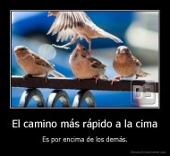 El camino más rápido a la cima - Es por encima de los demás.