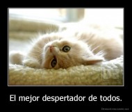 El mejor despertador de todos. - 