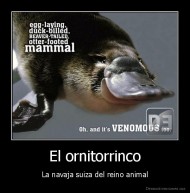 El ornitorrinco - La navaja suiza del reino animal