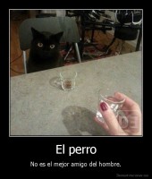 El perro - No es el mejor amigo del hombre.