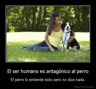 El ser humano es antagónico al perro - El perro lo entiende todo pero no dice nada.