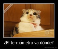 ¿El termómetro va dónde? - 