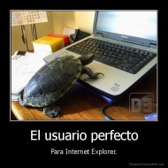 El usuario perfecto - Para Internet Explorer.