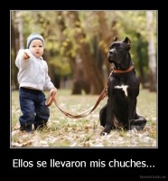 Ellos se llevaron mis chuches... - 