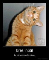 Eres inútil - Lo mires como lo mires.