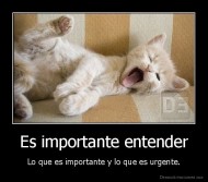 Es importante entender - Lo que es importante y lo que es urgente.
