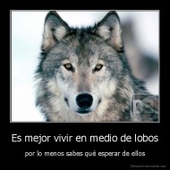 Es mejor vivir en medio de lobos - por lo menos sabes qué esperar de ellos