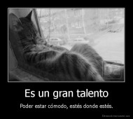 Es un gran talento - Poder estar cómodo, estés donde estés.