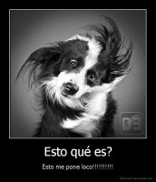 Esto qué es? - Esto me pone loco!!!!!!!!!!