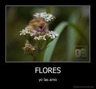 FLORES - yo las amo