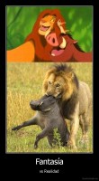 Fantasía - vs Realidad