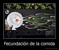 Fecundación de la comida - 