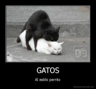 GATOS - Al estilo perrito