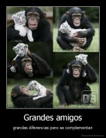 Grandes amigos - grandes diferencias pero se complementan