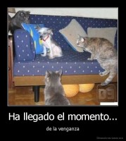 Ha llegado el momento... - de la venganza
