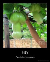 Hay - Para todos los gustos
