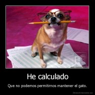 He calculado - Que no podemos permitirnos mantener el gato.