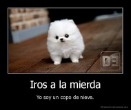Iros a la mierda - Yo soy un copo de nieve.