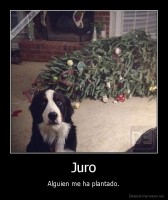 Juro - Alguien me ha plantado.