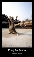 Kung Fu Panda - Dame tu mejor!