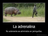 La adrenalina - No solamente se administra en jeringuillas.