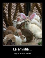 La envidia... - llegó al mundo animal