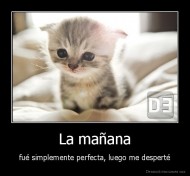 La mañana - fué simplemente perfecta, luego me desperté